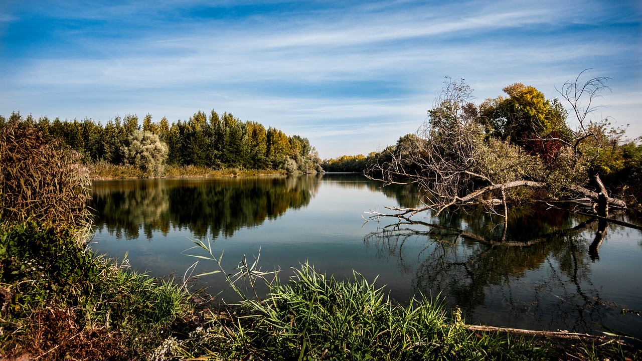 The Lower Jordan River